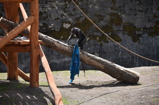 Filename=DSC_3809.JPG
Filesize=20091KiB
Dimensions=7360x4912
Date added=May 07, 2021 DSC_3809.JPG