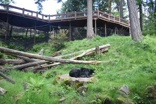 Filename=DSC_3827.JPG
Filesize=23880KiB
Dimensions=7360x4912
Date added=May 07, 2021 DSC_3827.JPG