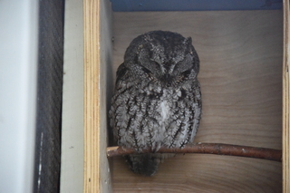 Filename=DSC_3838.JPG
Filesize=17232KiB
Dimensions=7360x4912
Date added=May 07, 2021 DSC_3838.JPG