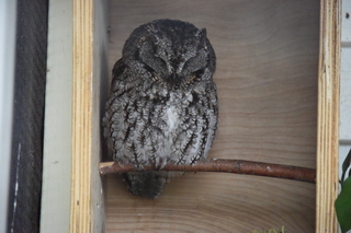 Filename=DSC_3840.JPG
Filesize=17738KiB
Dimensions=7360x4912
Date added=May 07, 2021 DSC_3840.JPG