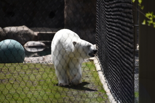 Filename=DSC_3849.JPG
Filesize=17583KiB
Dimensions=7360x4912
Date added=May 07, 2021 DSC_3849.JPG