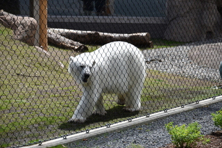 Filename=DSC_3850.JPG
Filesize=22149KiB
Dimensions=7360x4912
Date added=May 07, 2021 DSC_3850.JPG