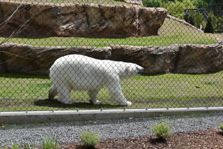 Filename=DSC_3852.JPG
Filesize=25961KiB
Dimensions=7360x4912
Date added=May 07, 2021 DSC_3852.JPG