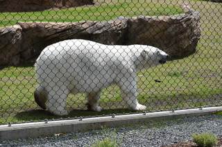 Filename=DSC_3853.JPG
Filesize=22589KiB
Dimensions=7360x4912
Date added=May 07, 2021 DSC_3853.JPG