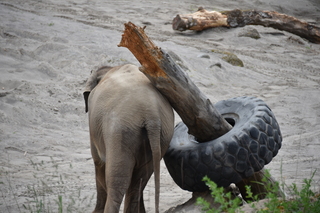 Filename=DSC_3886.JPG
Filesize=16724KiB
Dimensions=7360x4912
Date added=May 07, 2021 DSC_3886.JPG