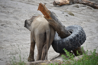 Filename=DSC_3892.JPG
Filesize=17241KiB
Dimensions=7360x4912
Date added=May 07, 2021 DSC_3892.JPG