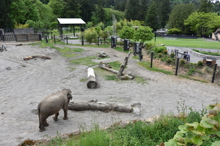 Filename=DSC_3897.JPG
Filesize=23602KiB
Dimensions=7360x4912
Date added=May 07, 2021 DSC_3897.JPG