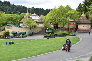 Filename=DSC_3898.JPG
Filesize=21635KiB
Dimensions=7360x4912
Date added=May 07, 2021 DSC_3898.JPG