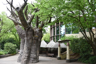 Filename=DSC_3900.JPG
Filesize=23559KiB
Dimensions=7360x4912
Date added=May 07, 2021 DSC_3900.JPG