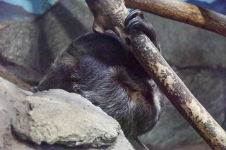 Filename=DSC_3901.JPG
Filesize=23763KiB
Dimensions=7360x4912
Date added=May 07, 2021 DSC_3901.JPG