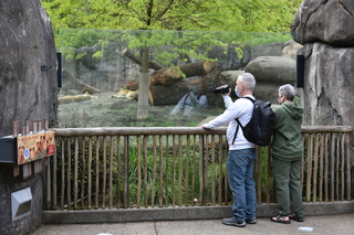 Filename=DSC_3938.JPG
Filesize=20709KiB
Dimensions=7360x4912
Date added=May 07, 2021 DSC_3938.JPG