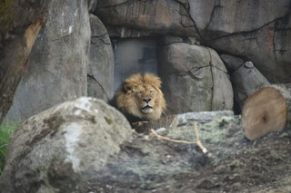 Filename=DSC_3939.JPG
Filesize=15900KiB
Dimensions=7360x4912
Date added=May 07, 2021 DSC_3939.JPG