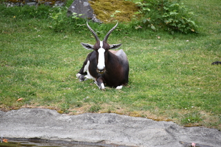 Filename=DSC_3969.JPG
Filesize=22477KiB
Dimensions=7360x4912
Date added=May 07, 2021 DSC_3969.JPG