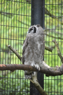 Filename=DSC_3986.JPG
Filesize=15223KiB
Dimensions=4912x7360
Date added=May 07, 2021 DSC_3986.JPG