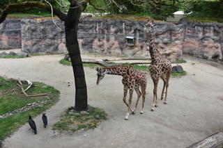 Filename=DSC_4030.JPG
Filesize=23403KiB
Dimensions=7360x4912
Date added=May 07, 2021 DSC_4030.JPG