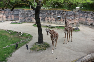 Filename=DSC_4031.JPG
Filesize=22583KiB
Dimensions=7360x4912
Date added=May 07, 2021 DSC_4031.JPG