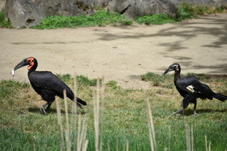 Filename=DSC_4045.JPG
Filesize=20462KiB
Dimensions=7360x4912
Date added=May 07, 2021 DSC_4045.JPG