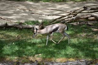 Filename=DSC_4048.JPG
Filesize=21411KiB
Dimensions=7360x4912
Date added=May 07, 2021 DSC_4048.JPG