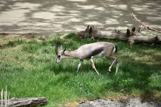 Filename=DSC_4050.JPG
Filesize=21288KiB
Dimensions=7360x4912
Date added=May 07, 2021 DSC_4050.JPG