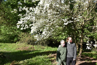 Filename=DSC_4079.JPG
Filesize=27528KiB
Dimensions=7360x4912
Date added=May 07, 2021 DSC_4079.JPG