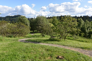 Filename=DSC_4092.JPG
Filesize=28072KiB
Dimensions=7360x4912
Date added=May 07, 2021 DSC_4092.JPG