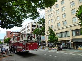 Filename=P1090435.JPG
Filesize=6032KiB
Dimensions=4320x3240
Date added=May 09, 2021 P1090435.JPG