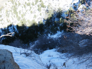 Filename=DSCF5088.JPG
Filesize=2927KiB
Dimensions=3264x2448
Date added=Sep 29, 2019 DSCF5088.JPG