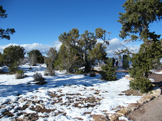 Filename=DSCF5232.JPG
Filesize=3169KiB
Dimensions=3264x2448
Date added=Sep 29, 2019 DSCF5232.JPG