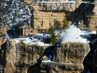 Filename=DSCF5337.JPG
Filesize=3109KiB
Dimensions=3264x2448
Date added=Sep 29, 2019 DSCF5337.JPG