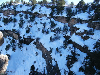 Filename=DSCF5342.JPG
Filesize=3180KiB
Dimensions=3264x2448
Date added=Sep 29, 2019 DSCF5342.JPG