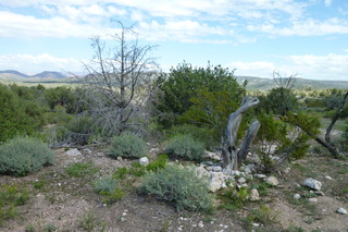 Filename=P1030768.JPG
Filesize=5085KiB
Dimensions=4320x2880
Date added=Sep 23, 2019 P1030768.JPG