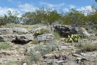 Filename=P1030773.JPG
Filesize=4979KiB
Dimensions=4320x2880
Date added=Sep 23, 2019 P1030773.JPG