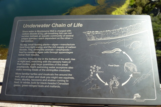 Filename=P1030784.JPG
Filesize=5173KiB
Dimensions=4320x2880
Date added=Sep 23, 2019 P1030784.JPG