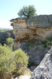 Filename=P1030790.JPG
Filesize=4436KiB
Dimensions=2880x4320
Date added=Sep 23, 2019 P1030790.JPG