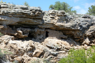 Filename=P1030792.JPG
Filesize=5035KiB
Dimensions=4320x2880
Date added=Sep 23, 2019 P1030792.JPG