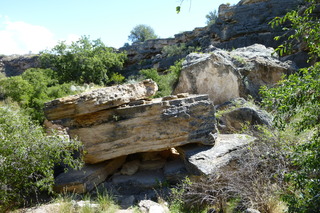 Filename=P1030794.JPG
Filesize=5137KiB
Dimensions=4320x2880
Date added=Sep 23, 2019 P1030794.JPG