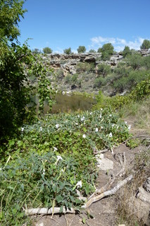 Filename=P1030810.JPG
Filesize=4523KiB
Dimensions=2880x4320
Date added=Sep 23, 2019 P1030810.JPG