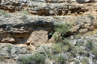 Filename=P1030812.JPG
Filesize=4985KiB
Dimensions=4320x2880
Date added=Sep 23, 2019 P1030812.JPG