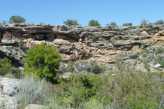 Filename=P1030815.JPG
Filesize=5053KiB
Dimensions=4320x2880
Date added=Sep 23, 2019 P1030815.JPG