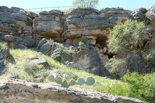 Filename=P1030817.JPG
Filesize=5215KiB
Dimensions=4320x2880
Date added=Sep 23, 2019 P1030817.JPG