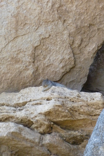 Filename=P1030818.JPG
Filesize=4517KiB
Dimensions=2880x4320
Date added=Sep 23, 2019 P1030818.JPG