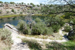 Filename=P1030820.JPG
Filesize=5143KiB
Dimensions=4320x2880
Date added=Sep 23, 2019 P1030820.JPG