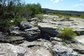 Filename=P1030826.JPG
Filesize=5264KiB
Dimensions=4320x2880
Date added=Sep 23, 2019 P1030826.JPG