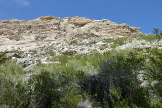 Filename=P1030834.JPG
Filesize=5135KiB
Dimensions=4320x2880
Date added=Sep 23, 2019 P1030834.JPG