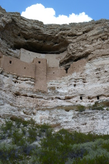 Filename=P1030881.JPG
Filesize=4606KiB
Dimensions=2880x4320
Date added=Sep 23, 2019 P1030881.JPG