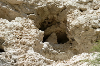 Filename=P1030890.JPG
Filesize=4875KiB
Dimensions=4320x2880
Date added=Sep 23, 2019 P1030890.JPG