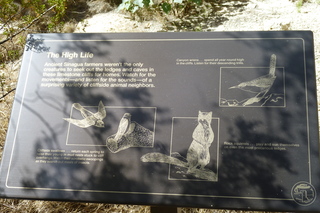 Filename=P1030895.JPG
Filesize=5043KiB
Dimensions=4320x2880
Date added=Sep 23, 2019 P1030895.JPG