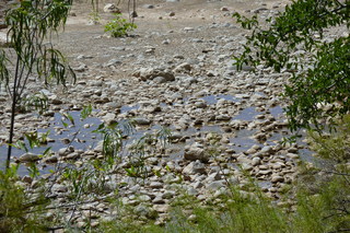 Filename=P1030900.JPG
Filesize=5123KiB
Dimensions=4320x2880
Date added=Sep 23, 2019 P1030900.JPG