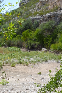 Filename=P1030901.JPG
Filesize=4337KiB
Dimensions=2880x4320
Date added=Sep 23, 2019 P1030901.JPG