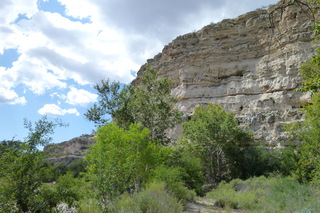 Filename=P1030902.JPG
Filesize=5058KiB
Dimensions=4320x2880
Date added=Sep 23, 2019 P1030902.JPG